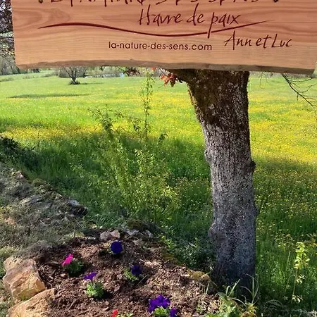 Du Canada Dağ evi *